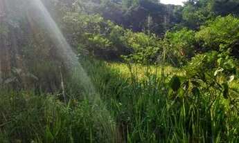 Imagem 5: Vendo terreno 1.500,00 metros quadrados