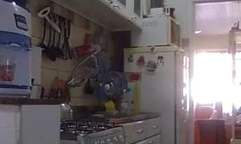 Imagem 2: Casa Condominio para Venda - 90m², 2 dormitórios, 2 vagas - Alto Petrópolis