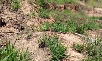 Imagem 4: Lote com alicerce