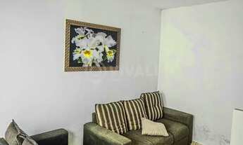 Imagem 3: Casa de rua - / Residencial / Jardim Ipê