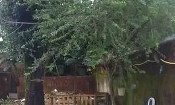 Imagem 5: Vendo casarão Casa com 3 dormitórios