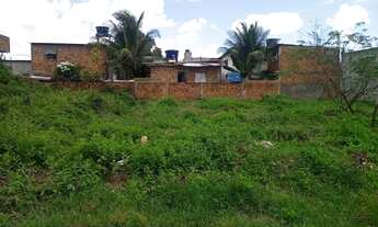 Imagem 3: Lote 10X20 (Loteamento Nova Guararapes