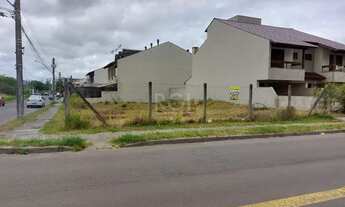 Imagem 2: Terreno em Hípica