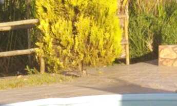 Imagem 4: Aluga-se Sítio Maravilhoso!