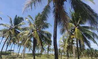Imagem 5: LOTE NO SOL E PRAIA - BARRA DOS COQUEIROS