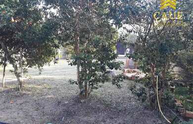 Imagem 5: Sítio com casa Casa em condomínio com 2 dormitórios