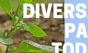 Imagem: Terrenos para investimento em Votorantim