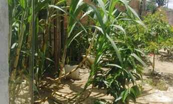 Imagem 7: Vende-se Casa em Sayonara - Sooretama