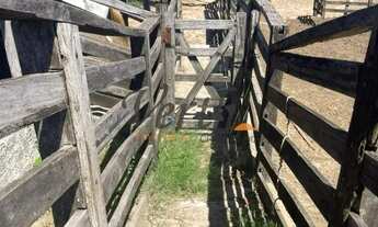 Imagem 4: Fazenda - Centro - Montes Claros