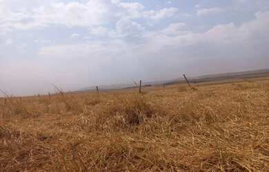 Imagem 7: Fazenda a venda em Campo Alegre de Goiás!!
