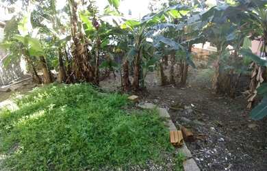 Imagem 4: Terreno para investimento no Saco Grande, Florianópolis