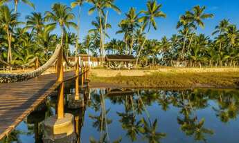 Imagem 6: Pé na Areia - Alameda do Araripe