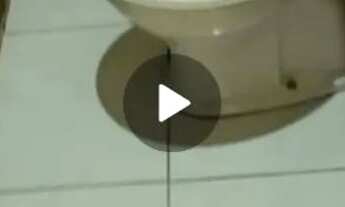 Imagem 4: Casa para alugar