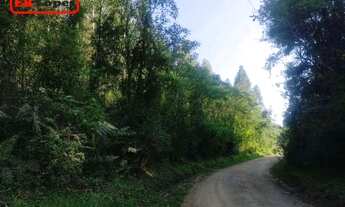 Imagem 6: Chácara à venda, 76794 m² por R$ 1.450.000,00 - Poço Negro - Colombo/PR