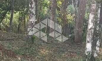 Imagem 3: Excelente terreno amplo com boa frente