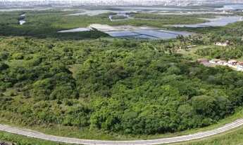 Imagem: COMPRO 7,5ha DE MATA ATLÂNTICA EM MACAÍBA