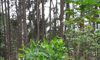 Imagem 6: Condomínio Vale das Emas Terreno com 360 m2 e Projeto Aprovado!