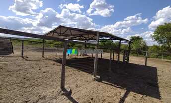Imagem 4: FAZENDA À VENDA - 1.000 HECTARES - SANTA FÉ DE MINAS (MG