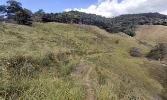 Imagem 5: Ótimo terreno 8 hectares