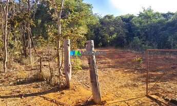 Imagem 2: FAZENDA À VENDA - 193 HECTARES - INIMUTABA (MG