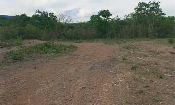 Imagem 4: ? *FAZENDA ABENÇOADA - OPORTUNIDADE ÚNICA EM CÁCERES/MT* ?