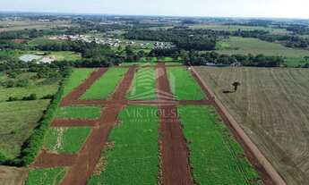 Imagem 5: LOTES A VENDA NO LOTEAMENTO PAULISTA - REGIÃO DO MORUMBI