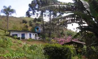 Imagem 2: Chácara para venda em Santo Antônio do Pinhal - 4.000m²