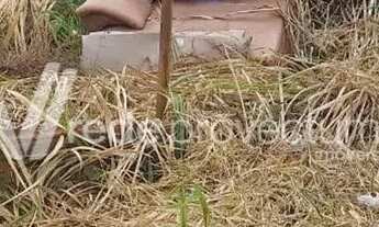 Imagem 3: Terreno - Parque das Universidades - Campinas