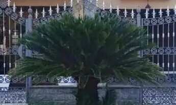 Imagem: Casa com 3 dormitórios à venda, 243 m²