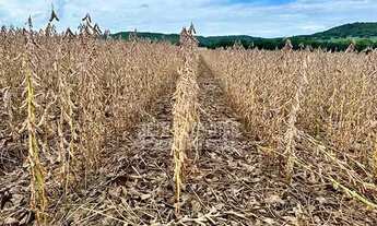 Imagem 2: Fazenda/Sítio/Chácara para venda com 5614400 metros quadrados