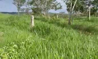 Imagem 3: Vende-se uma excelente fazenda de 1.100 hectares