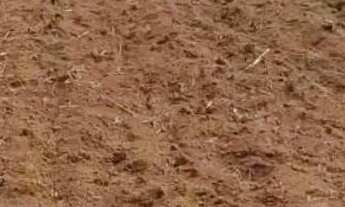 Imagem 4: VENDE-SE TERRENO CORUMBÁ 4 PRONTO PARA CONSTRUIR!