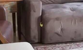 Imagem 5: Linda casa em Ponta das Canas REF: 363