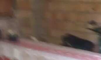 Imagem 6: Vendendo essa casa 65 mil