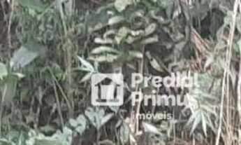 Imagem 6: Terreno à venda, 1345 m² por R$ 280.000,00 - Parque Imperial - Nova Friburgo/RJ