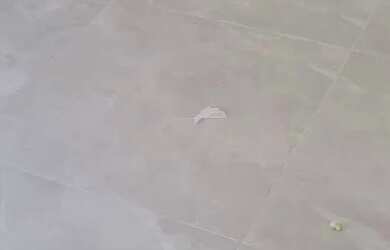 Imagem 6: SOBRADO - VILA ELDÍZIA - SP