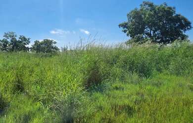 Imagem 3: Fazenda Premium a 95 km de Cuiabá: Estrutura Completa e Pastagens Formada