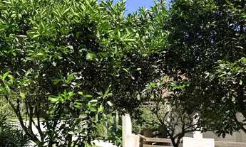 Imagem 3: Chácara à venda com 2.800m² e 8 quartos em Barrinha São Lourenço da Serra - SP