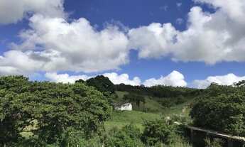 Imagem 7: Fazenda em Dario Meira