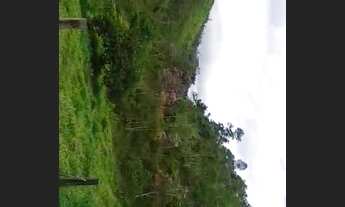 Imagem 4: Sitio De 6 hectares no bairro jacupema eldorado