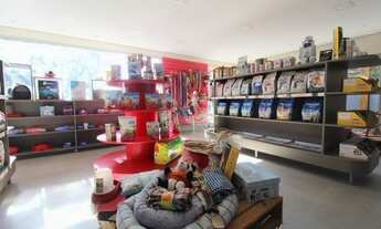 Imagem 6: Porto Alegre - Casa Padrão - Tristeza