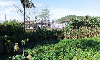 Imagem 5: Terreno quitado Bairro Paranaguamirim Joinville