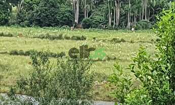 Imagem 7: Fazenda Dupla Aptidão - em CANA ARRENDADA, 154 Alqueires, à venda por R$ 25.020.000,00 - n