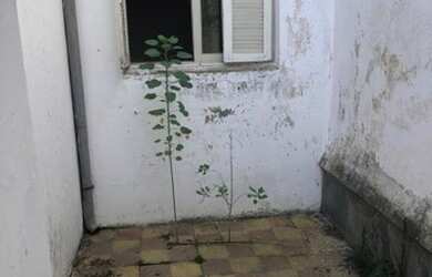 Imagem 7: PELOTAS - Casa Padrão - CENTRO