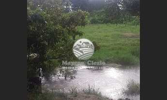 Imagem 4: Ariquemes - Sítio - 10 Alqueires a