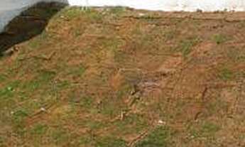 Imagem 4: Casa com 2 dormitórios à venda, 55 m² por R$ 195.000,00 - São Pedro - Esmeraldas/MG