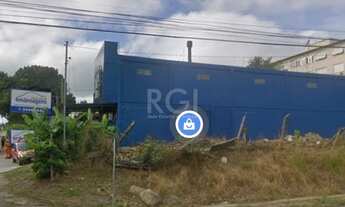 Imagem 6: Porto Alegre - Terreno Padrão - Passos das Pedras