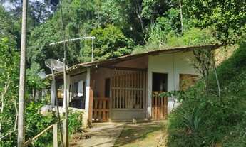 Imagem 7: 10 mil mts com inscidencia de fauna