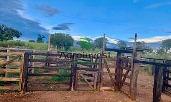 Imagem 3: Fazenda em Peixe -TO