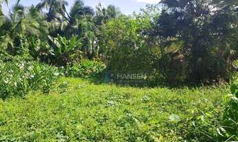 Imagem 7: Terreno à venda, 3464 m² por R$ 2.100.000,00 - Centro (Pirabeiraba) - Joinville/SC